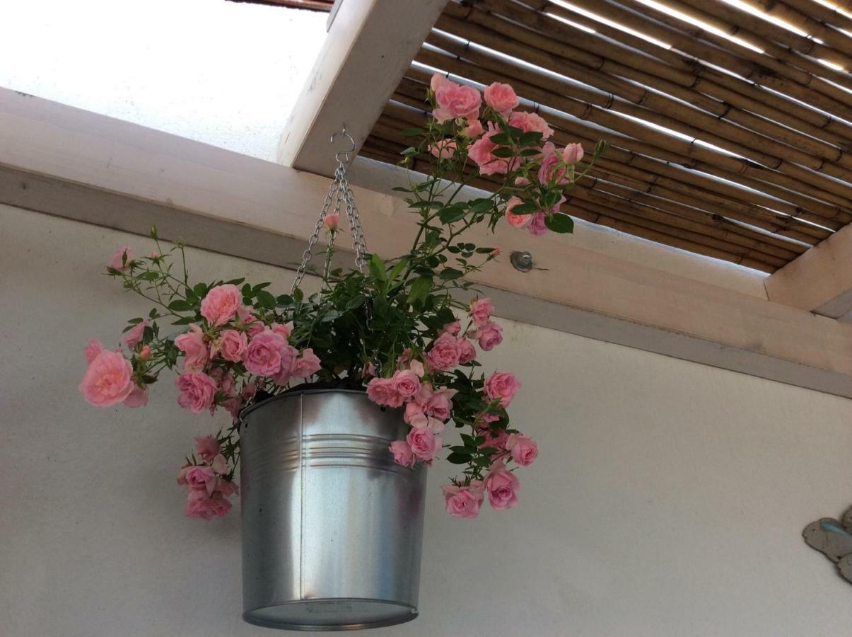 Bed and Breakfast 4 In Piazza Sorso Exterior foto